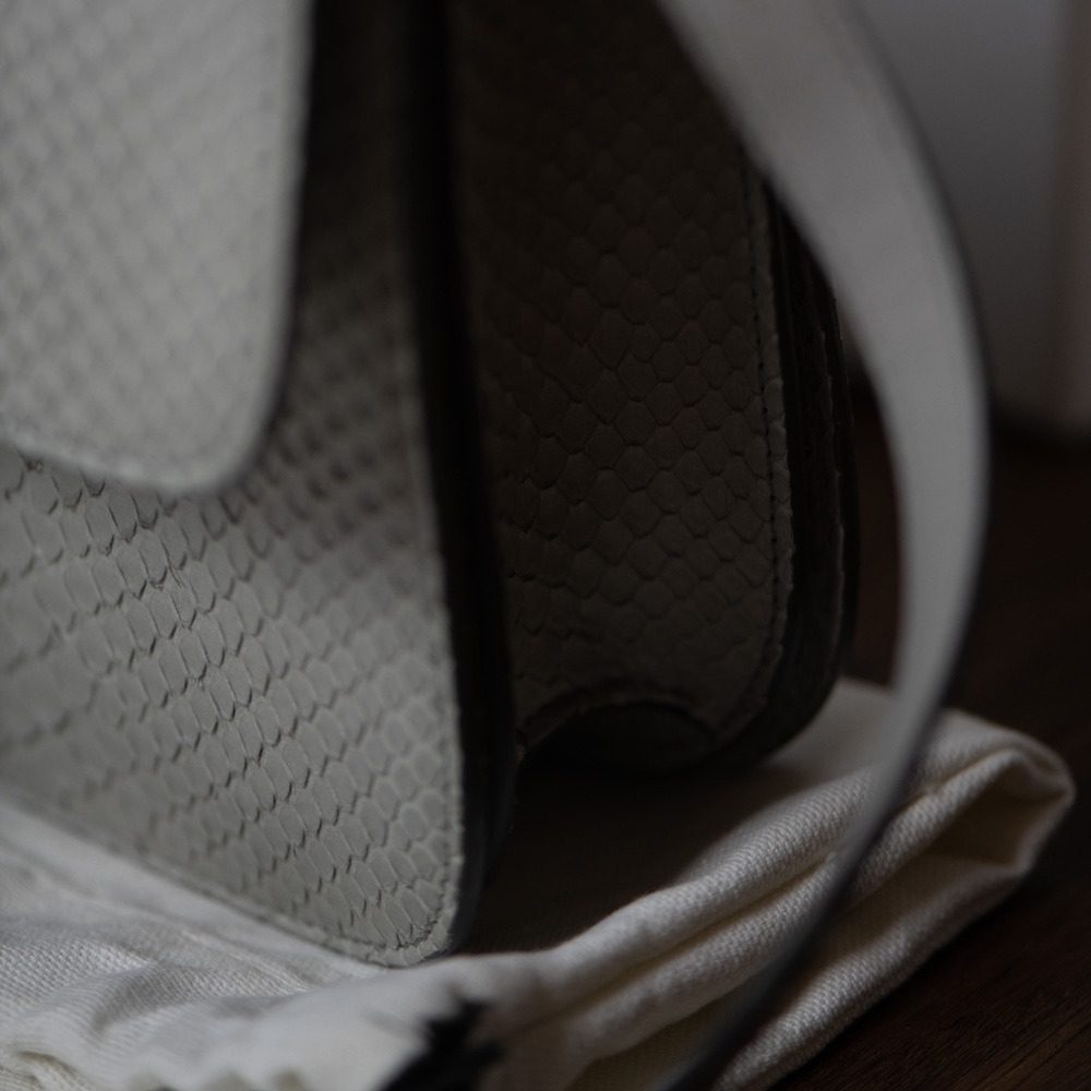 Celine Medium Box Bag - Grey Python Leather - image 3